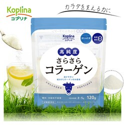 Rvi x炳R[Q 120g