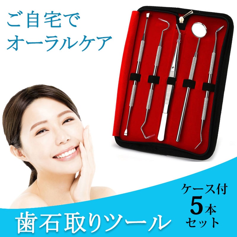 歯石取り 5本セット ケース付き スケーラー 歯垢 食べかす 除去 用具 デンタル オーラル ケア 口腔 衛生 ツール 自宅 歯の点検 器具ヤニとり ステンレス製【代引き不可】