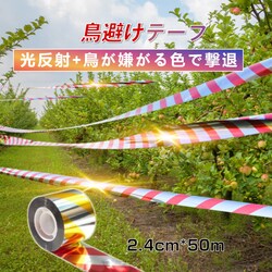悯 e[v 50m 1 F ԐF Vo[ Px z   {  XY JX Ƃ悯 ObY ACe h΍ x_   c _