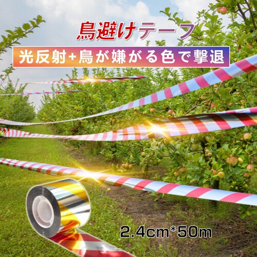 悯 e[v 50m 1 F ԐF Vo[ Px z   {  XY JX Ƃ悯 ObY ACe h΍ x_   c __0