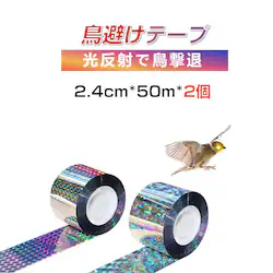 悯 zO e[v 50m 2 Vo[ Px z   {  XY JX Ƃ悯 ObY ACe h΍ x_   c _