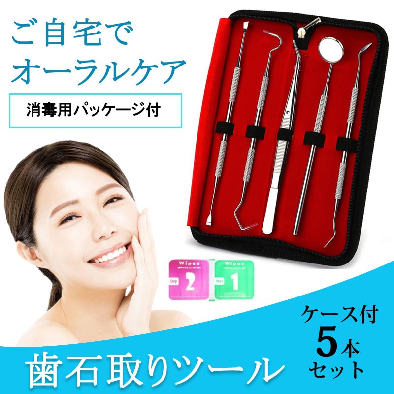 歯石取り 5本セット ケース付き 消毒用パッケージ付き【代引き不可】