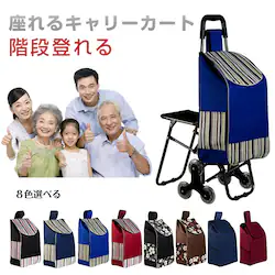 �L�����[�J�[�g ���ܐ� �֎q�t�� ����� 6�� �h�� �܂��� �K�i�o��� ��e�� �q���A�� �V���b�s���O ���s �O�o ������ �L�����[�P�[�X ����� �V���o�[�J�[ �艟����