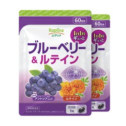 �R�v���i �u���[�x���[�����e�C�� 60�� 2�Z�b�g120����