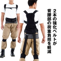SgAVXgp[X[c@MTCY AVXgX[c Y fB[X jp ubN