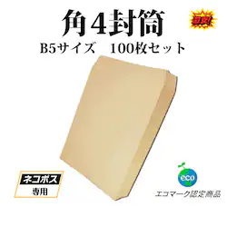  B5TCY p4 100  F  Ɩp ip `V Xp