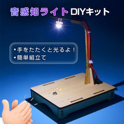 mZT[Cg HLbg DIYfXNCg dC Ɩ q  w TEh e[uv LED   gݗ ȒP dqH