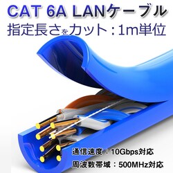CAT 6A LAN�P�[�u�� �����w�肵�ăJ�b�g 10�M�K�r�b�g PoE�Ή� ������Ή� �������ʐM ���[�^�[ �p�\�R�� �v�����^�[ �h�ƃJ�����l�b�g���[�N�H�� �Ɩ��p �v��