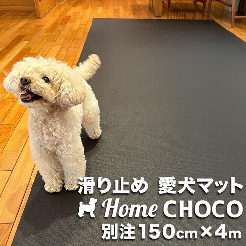 ̂߂̎p ~߃}bg HOME CHOCO III ʒChm150cm~4mnz[`RVer.III_0
