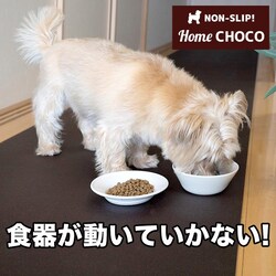 ̂߂̎p ~߃}bg HOME CHOCO IIIm70cm~1mnz[`RVer.III hbO}bg ybg}bg