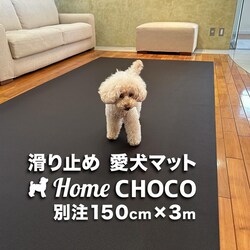 ̂߂̎p ~߃}bg HOME CHOCO III ʒChm150cm~3mnz[`RVer.III