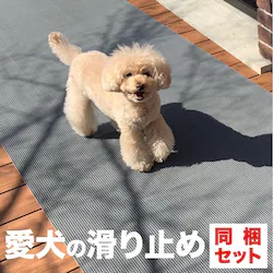 90cm~80cm 3Zbg ̑ ~߃}bg X^bhX}bgEOEXbvh~