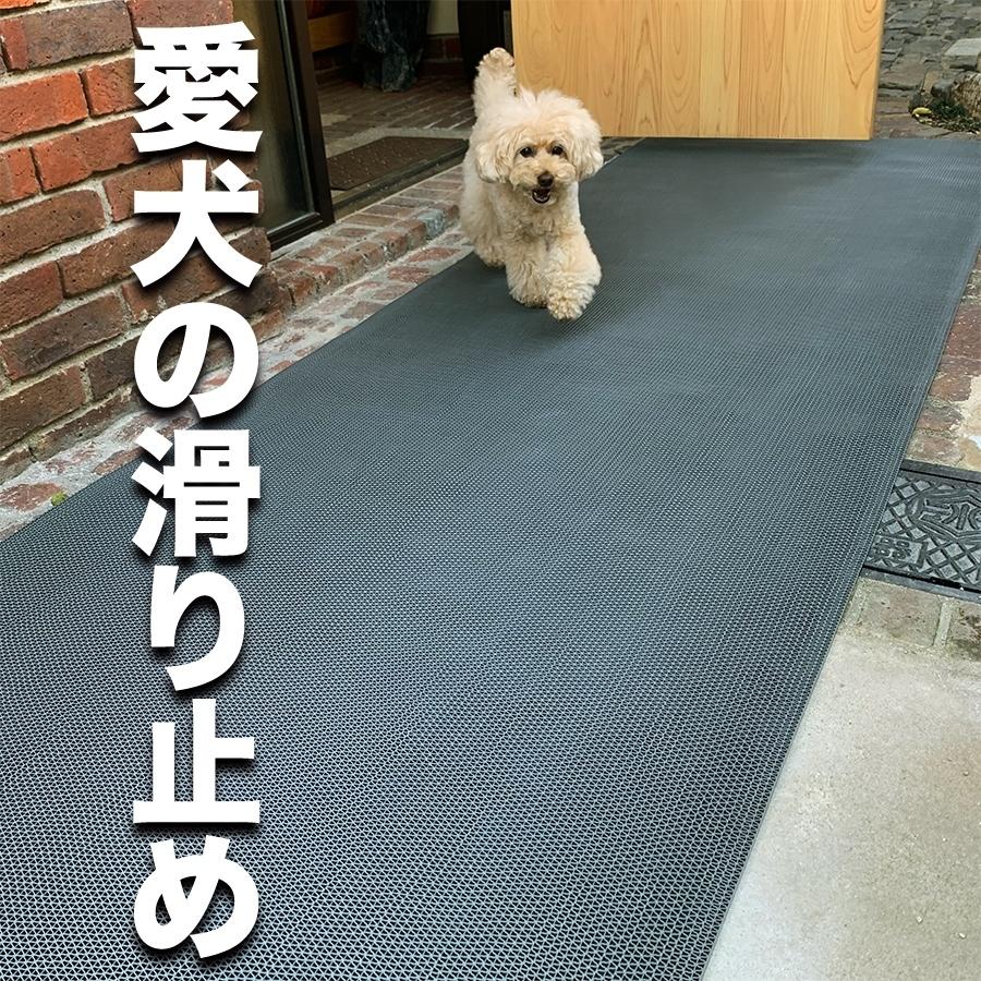 �ǉ����i�T���l�C��