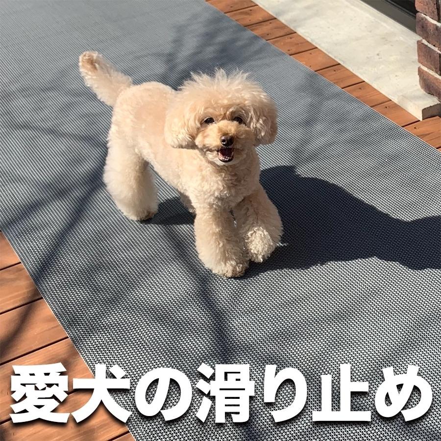 �ǉ����i�T���l�C��