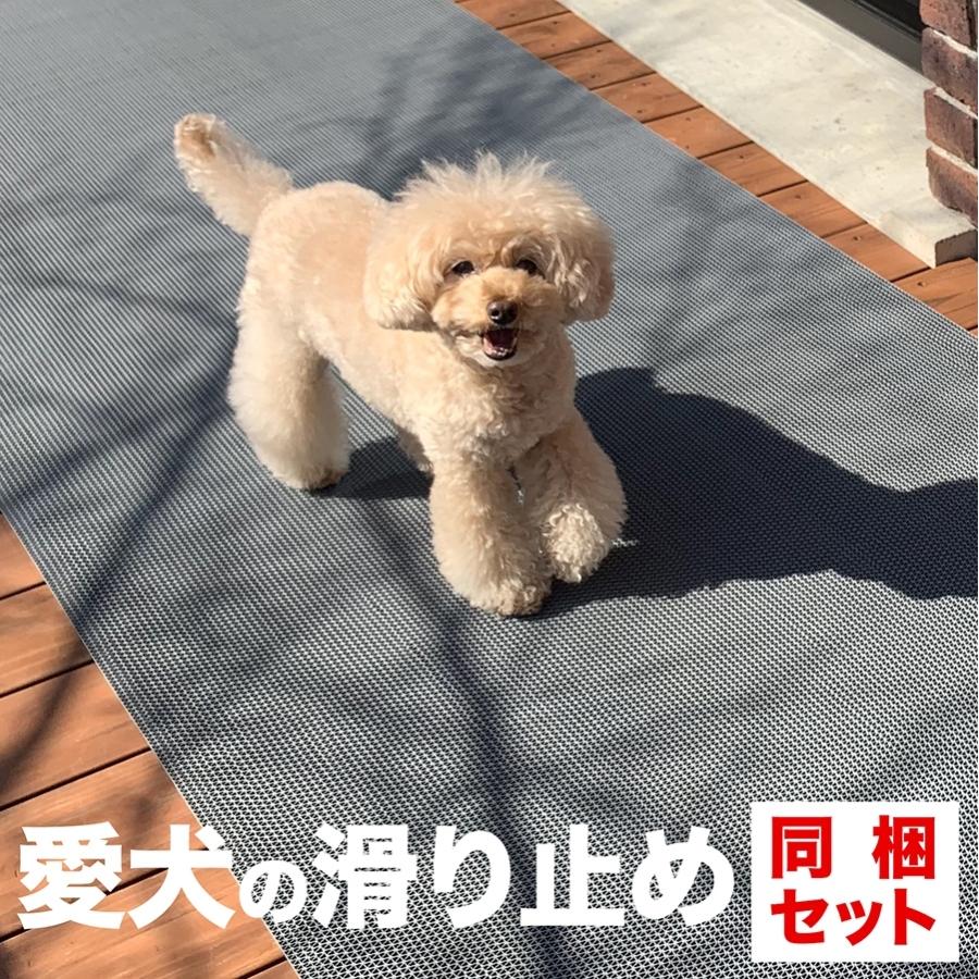 �ǉ����i�T���l�C��