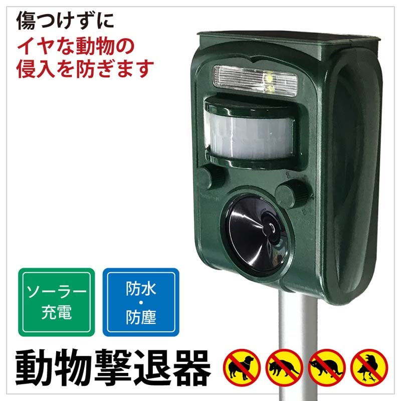 L悯 Qbފ ފ pi g x Pi