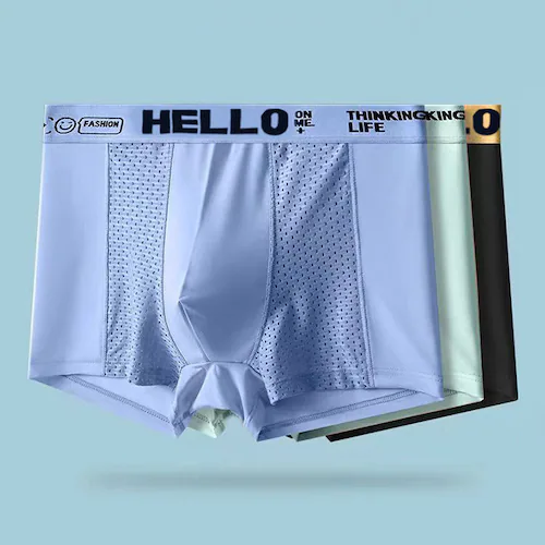 y3ZbgzڐG⊴{NT[pc@O[@2XL_0