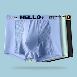 y3ZbgzڐG⊴{NT[pc@O[@M