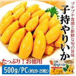 �q���� �����C�J ���pM 500g/PC�{�M�q���h�q�t��/M�T�C�Y(��20-25�O�����) �q�� ��肢�� ���� �C�J �G�� �y�� �M�t�g ������ �v�`�v�` �H�� �𚐉� ASMR