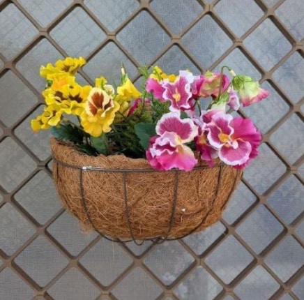 ԁ@ԃpW[̕Ǌ| Â鎺p