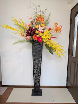  X^ht[, ^JXjpAWg, 220cm, CxgEItBXEp`RX, G}H