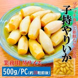 �q���� �����C�J �Ɩ��p 500g/PC�{�M�q���h�q�t��/M�T�C�Y(��20�O�����) �q�� ��肢�� ���� �C�J �G�� �y�� �M�t�g ������ �v�`�v�` �H�� �𚐉� ASMR