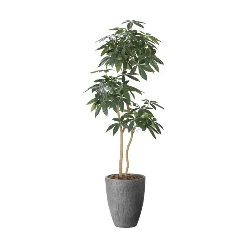 �ǉ����i�T���l�C��