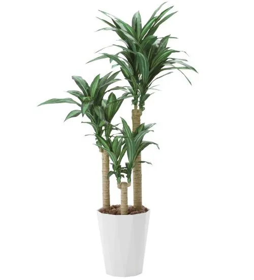 人工観葉植物 光触媒【幸福の木1.6m】インテリア _0