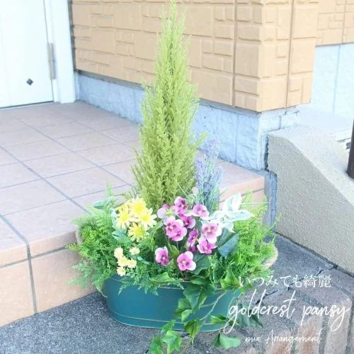 �v�����^�[ �A�����W�����g ���� ���� �������s�v ������s�v ���� �v�����^�[ �񂹐A�� �� ���� �t �� �H �~_0