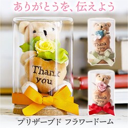 �v���U�[�u�h�t�����[ ���킢�� �ʔ� ���g���x�A �t�����[�A�����W�����g �v���U�[�h�t�����[ �t�����[�M�t�g ���� �� ���� �F �t�����[ ���� ���Ԃ� �M�t�g thank you ���� �M�t�g ��̓� 60�� �h�V�̓� �җ�j��