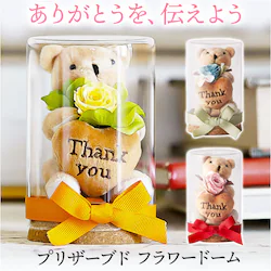 �v���U�[�u�h�t�����[ ���킢�� �ʔ� ���g���x�A �t�����[�A�����W�����g �v���U�[�h�t�����[ �t�����[�M�t�g ���� �� ���� �F �t�����[ ���� ���Ԃ� �M�t�g thank you ���� �M�t�g ��̓� 60�� �h�V�̓� �җ�j��