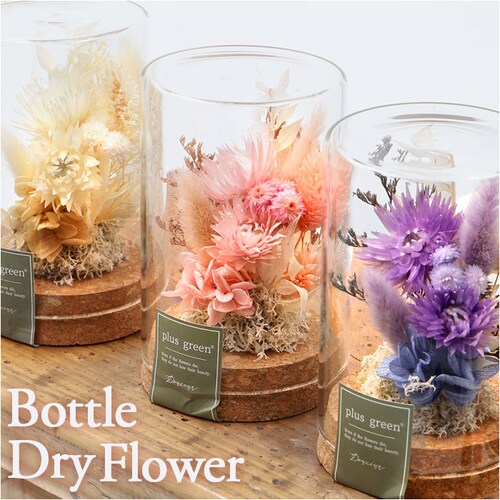 �h���C�t�����[ �K���X �ʔ� �{�g���t�����[ �R���N�{�g�� 75 �t�����[�A�����W�����g �K���X�{�g�� �v���U�[�u�h�t�����[ �t�����[�M�t�g �I�u�W�F �u�� �u���� ���� �� ������� �M�t�g ���j��_0