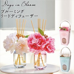 �K�[�f�j�A ���[�h�f�B�t���[�U�[ �ʔ� �f�B�t���[�U�[ �A���}�f�B�t���[�U�[ �X�e�B�b�N �K���X�{�g�� �t���O�����X �F���� �A���} �C���e���A ���蕨 �M�t�g �f�C�Y�C���u���[�� Days in Bloom 122-27 bright