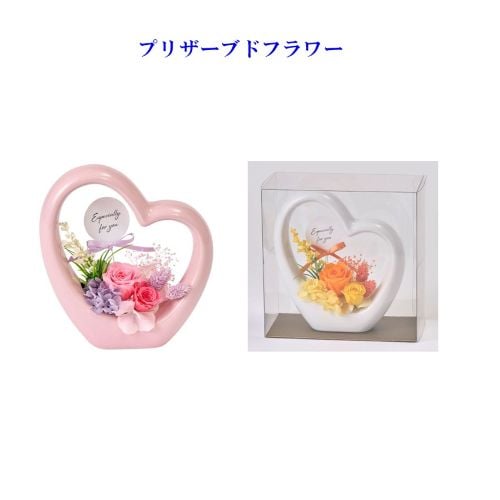 �v���U�[�u�h�t�����[�@��̓����@�Q�F��肨�I�щ�����