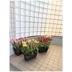 ���ԁ@�`���[���b�v�v�����^�[�@�S�F��肨�I�щ������@�t�̉��o�@�C�x���g���@�I�t�B�X�Ɂ@�y2�ȏエ�����グ���������z