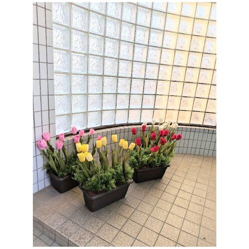 造花 チューリッププランター 4色よりお選び下さい 春の演出 イベント会場 オフィスに 【2個以上お買い上げ送料無料】_0