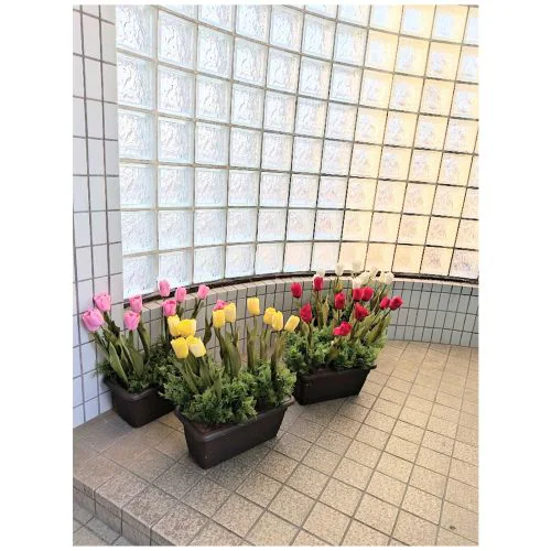 ���ԁ@�`���[���b�v�v�����^�[�@�S�F��肨�I�щ������@�t�̉��o�@�C�x���g���@�I�t�B�X�Ɂ@�y2�ȏエ�����グ���������z_0