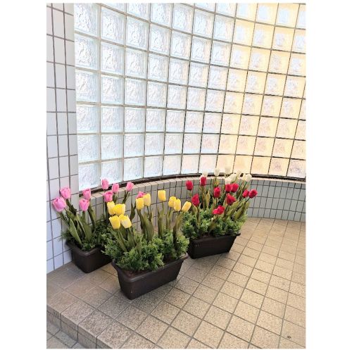 �ǉ����i�T���l�C��