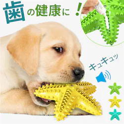 �� ������ �������� �ʔ� ���ނ������� �������������� ���������� ���I���`�� �y�b�g�������� �ߋ� ���� ������ ���u���V �q�g�f ��^�� ���^�� �m��ߋ� ���̏o�邨������ ���p�i �y�b�g�p�i �y�b�g�O�b�Y