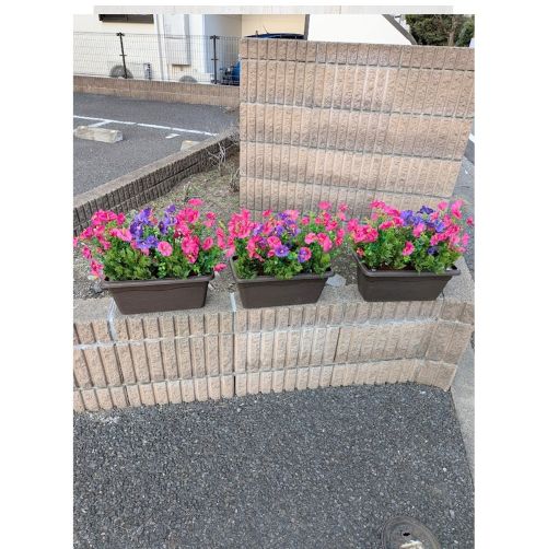 �ǉ����i�T���l�C��