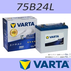 VARTA 75B24L BLUE DYNAMIC ���Y�ԗp�o�b�e���[