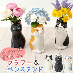 ��֑}�� �~�j �ʔ� �y���X�^���h �L �ԕr �y������ �t�����[�x�[�X ���M���� �y���u�� �t�����[�X�^���h ������� ���킢�� ���� ������ ������ �L�O�b�Y �˂� �l�R ���� ���r���O �f�X�N �A�j�}�����`�[�t