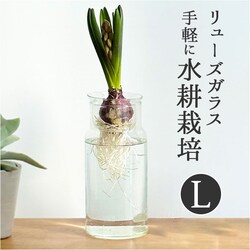 �t�����[�x�[�X �K���X �ʔ� �����[�Y�K���X �o���u �{�g�� L �ԕr ������� �t�����[�|�b�g �K���X�{�g�� �Ԃт� �g 19cm �傫�� ���T�C�N���K���X �� �� �ϗt�A�� �K�[�f�j���O �x�����_ ���킢�� ����