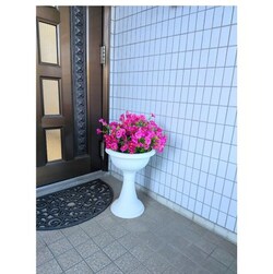 ���ԁ@�y�`�j�A�v�����^�[�@���|�@�V���[���[���@�V���b�s���O���[���@�Z��W�����@��������