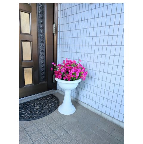 �ǉ����i�T���l�C��