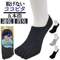 �R�R�s�^ �����Y ������� 5�{�w �ʔ� �����҂� �����s�^ 5�{�w�\�b�N�X 5�{�w�C�� �ܖ{�w�\�b�N�X �ܖ{�w�C�� �t�b�g�J�o�[ �C�� �\�b�N�X ����~�� ���L �z�� ���� �ܖ{�w �X�j�[�J�[�\�b�N�X okamoto