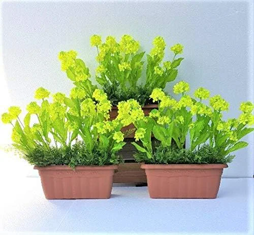 ���ԁ@�@�؂̉ԃv�����^�[3�_�Z�b�g_0