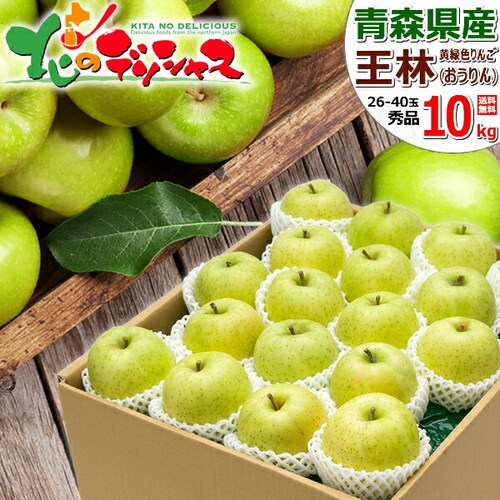 �y�o�ג��z�X���Y ��� ���� 10kg (�G�i/26�ʁ`40�ʓ���) �����S �M�t�g ���蕨 �ʕ� ������_0