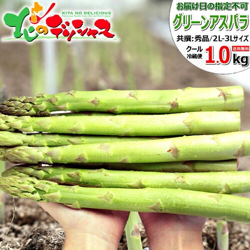 �y�����o�ג��z�k�C���Y ���ƒ�p �O���[���A�X�p�� 1kg (����/2L-3L�T�C�Y) �󂠂� �k�C�� ��� ������_0