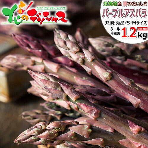 �y�o�ג��z�k�C���Y �p�[�v���A�X�p�� 1.2kg (����/S-M�T�C�Y) �M�t�g ���ƒ�p �k�C�� ��� ������_0